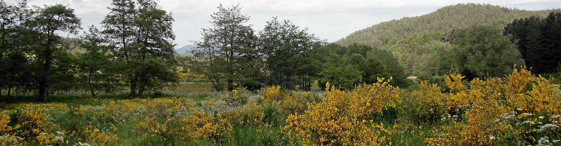 Parco della Sila a Corce di Magara